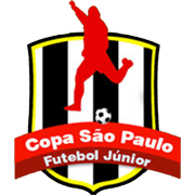 كأس الشباب البرازيلية