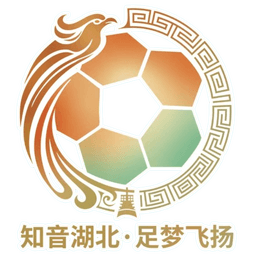 Hubei City Football League