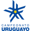 Divisi Pertama Uruguay