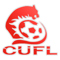 Liga Universitas Tiongkok