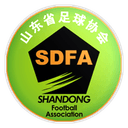 كأس ويي فانغ