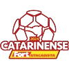 Divisi 1 Campeonato Catarinense Brasil