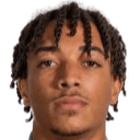 لوكا واريك ديفيوفي كوليوشو