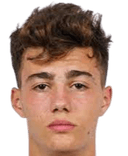 جوفان ميتولجيكيتش