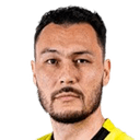 دنيس كافلينوف