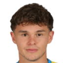 ج. شفايغوفر