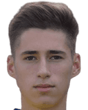 ميهايتا ليمنارو