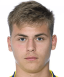 دانيال بيرغمان