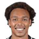 زافييه زينغو