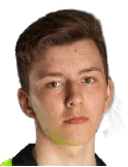 فيكا ستالهاند