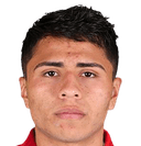 ميسيل دومينجيز