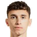 ستيفان ميتروفيتش