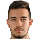 ستيفان رادويتش