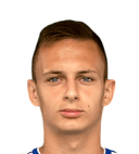 أريجان بركوفيتش