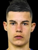 نيكيتا أبراموشكين