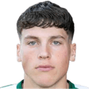 ناندو فيردوني