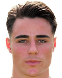 ب. فان غوركوم