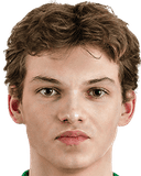 كارليس فيلنيس