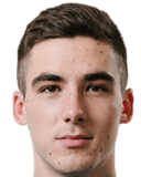 إيليا باغاريتش