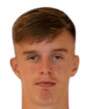 دومينيك دروبنيك