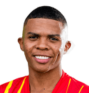 كاميلو مينا