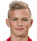 راديك ليهوفيتش