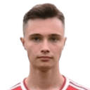 نيكو غاريتش