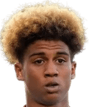 ألفي شين ماكنالي