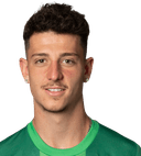 ألبين كراسنيقي