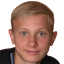 أكسل إميل هالسجارد