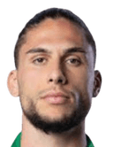 Pedro Manuel Lobo Peixoto Mineiro Mendes