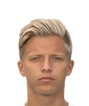 دومينيك هاسالا