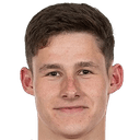 مارتن فيتيك