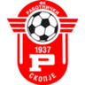 Rabotnicki Skopje U19