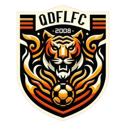 Qingdao Fuli Qingdao Fuli