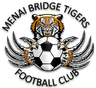 ميناي بريدج تايجرز