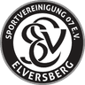 SV Elversberg U19