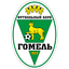 FC Gomel