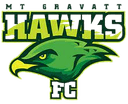 MT Gravatt Hawks