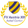 FV Austria XIII