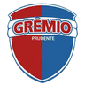 Gremio Prudente