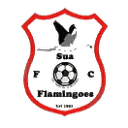 سوا فلامينغوس