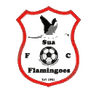 Sua Flamingoes