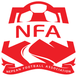 نادي نيبيان لكرة القدم