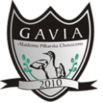 Gavia Choszczno