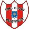 Orzel Przeworsk