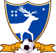 سوشيتبيكيز النسائي