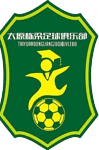 Taiyuan Dongliang U13
