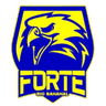 Forte FC