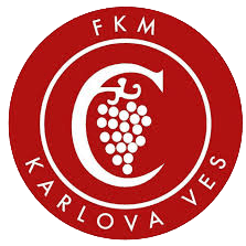 Karlova Ves U19